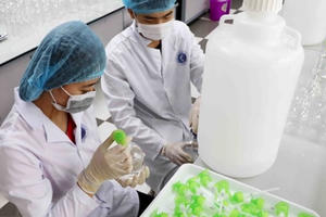 Dược phẩm PV Việt Nam bị thu hồi Giấy chứng nhận đủ điều kiện kinh doanh dược