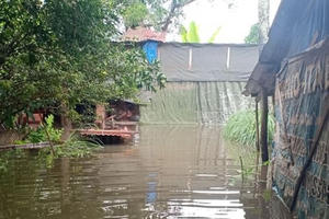 Dân thành phố khốn khổ vì... lội nước ngập Dân thành phố khốn khổ vì... lội nước ngập