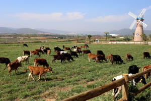 Những bước phát triển bền vững của công ty có giá trị thương hiệu lớn nhất Việt Nam