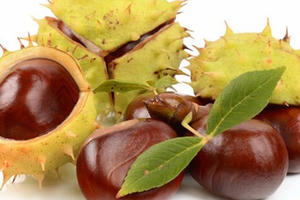 Phòng và chữa bệnh trĩ bằng thảo dược an toàn