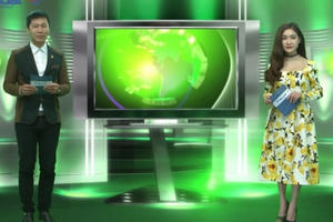 Bản tin Mùa Đông Plus (No8)