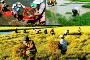 Nông nghiệp, nông thôn, nông dân đều chuyển mình mạnh mẽ sau 10 năm
