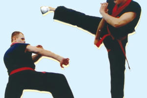 Vén màn môn võ Việt chuyên dùng để khắc chế võ công Trung Hoa