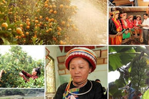 Quy trình giám sát Chương trình mục tiêu phát triển KT-XH vùng dân tộc thiểu số