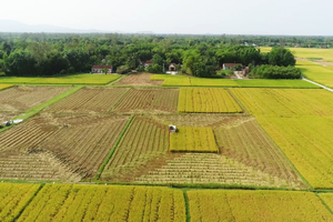 Những chính sách mới có hiệu lực tháng 4/2025