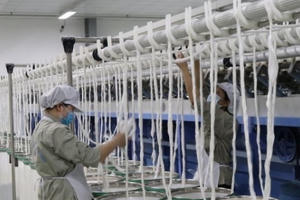 Vi phạm kê khai vốn điều lệ Công ty CP Tập đoàn bất động sản Vạn Xuân bị xử phạt