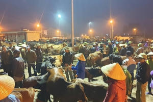 Sôi động phiên chợ trâu, bò lớn nhất nước trong ngày giao dịch cuối cùng