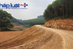 Phú Thọ: Hàng chục nghìn m2 đất Lâm nghiệp bị đào bới chưa rõ nguyên nhân