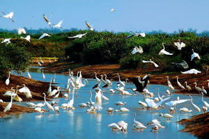 Việt Nam được công nhận 3 Công viên Di sản ASEAN