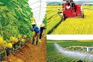 Cơ cấu lại ngành nông nghiệp giai đoạn 2021 - 2025