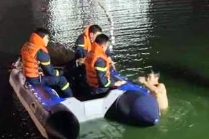 Vĩnh Phúc: Nghi thất tình thiếu nữ sinh năm 2000 gieo mình xuống hồ tự tử