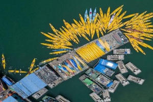 Hải Phòng công bố các cụm điểm neo đậu cho tàu lưu trú qua đêm