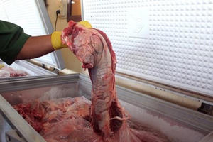 ‘Phù phép’ thịt lợn thành đặc sản thú rừng bằng hóa chất