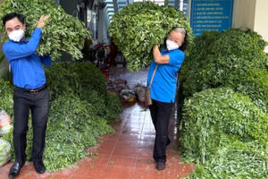 Tấm lòng thơm thảo của cụ bà 72 tuổi gửi người dân TP Hồ Chí Minh