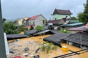 Bão chồng bão, Nghệ An thiệt hại gần 7.000 tỷ đồng