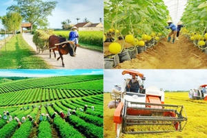 Khẩn trương ban hành văn bản hướng dẫn thực hiện các chương trình mục tiêu quốc gia