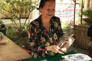 Sôi nổi sắc xuân miệt vườn Cần Thơ