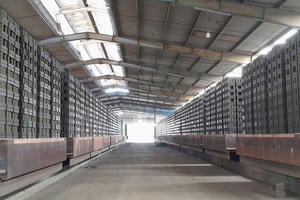 Xử phạt 320 triệu đồng đối với nhà máy gạch không có giấy phép môi trường tại Hà Tĩnh