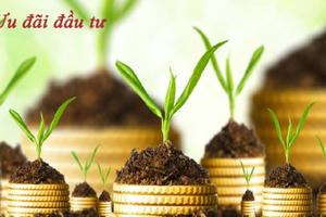 Chỉnh phủ bổ sung ngành nghề ưu đãi đầu tư