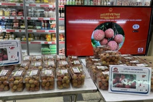 Xuất khẩu nông sản: Cần tận dụng dụng tốt “giấy thông hành”