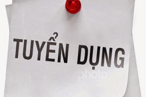 Tuyển lập trình viên PHP, Wordpress