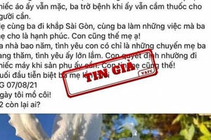 Có dấu hiệu trục lợi trong vụ thông tin giả “bác sĩ rút ống thở cứu sản phụ” Có dấu hiệu trục lợi trong vụ thông tin giả “bác sĩ rút ống thở cứu sản phụ”