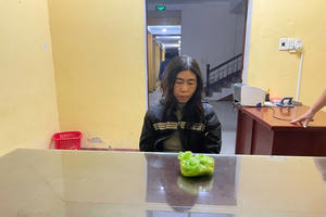 Nữ "đạo chích" đột nhập vào nhà người thân trộm gần 8 lượng vàng