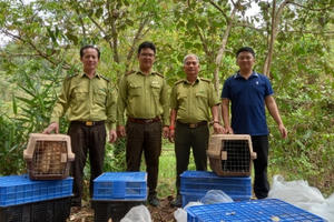 Đồng Nai: Thả hơn 100 động vật hoang dã về môi trường tự nhiên