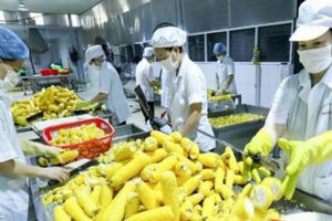 Nông nghiệp Việt năm 2020 xuất khẩu “ngoạn mục” Nông nghiệp Việt năm 2020 xuất khẩu “ngoạn mục”