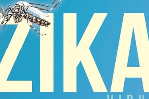 Bến Tre ghi nhận ca nhiễm Zika đầu tiên