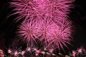 Hà Nội có 31 điểm bắn pháo hoa đêm giao thừa Bính Thân 2016