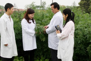 Dược phẩm Tâm Bình: Các sản phẩm chất lượng từ nguồn dược liệu sạch