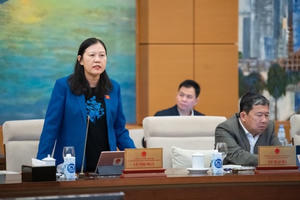 Có nên đánh thuế tiêu thụ đặc biệt với xăng và điều hòa?