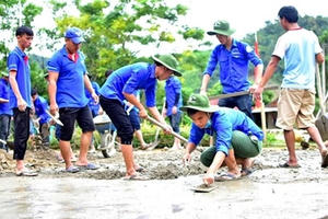 Nâng cao năng lực quản lý, điều phối hoạt động tình nguyện