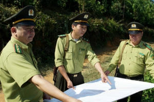 Cao Bằng: Kiểm lâm Nguyên Bình phối hợp xử lý 12 vụ vi phạm luật lâm nghiệp