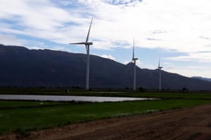 Đưa điện gió đầu tiên ở Ninh Thuận hòa lưới điện quốc gia Đưa điện gió đầu tiên ở Ninh Thuận hòa lưới điện quốc gia