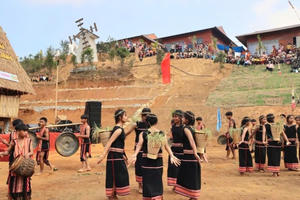 Đấu giá sâm Ngọc Linh “tiếp sức” cho Làng tái định cư Tu Thó làm du lịch cộng đồng