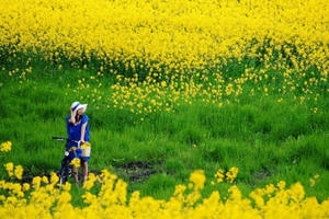 [Truyện ngắn] Ngang qua mùa xuân