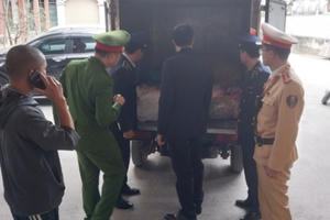 Bắc Giang: Phát hiện, tiêu hủy 167 kg sản phẩm từ lợn không rõ nguồn gốc