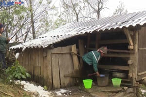 Lào Cai: Thiệt hại do mưa tuyết hơn 32 tỷ đồng