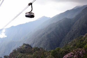 Đỗ quyên nở sớm ở Fansipan, lễ hội tưng bừng