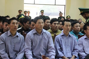 Vụ phá rừng Pơ Mu ở Quảng Nam: "Cứ làm tẹt ga, không sao đâu"