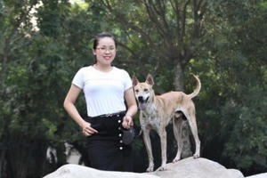 Chú chó Phú Quốc thuần chủng đắt nhất Việt Nam từ trước đến nay