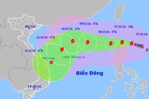 Thủ tướng Chính phủ yêu cầu các Bộ ngành, địa phương chủ động ứng phó bão YINXING