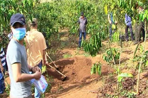 Giọt nước mắt muộn màng của người đàn bà cùng nhân tình sát hại chồng