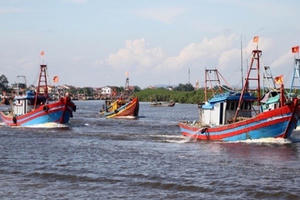 Từ ngày 1/8, xử lý hình sự vi phạm về khai thác thủy sản