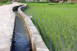 Sửa đổi nguyên tắc cấp phép hoạt động bảo vệ công trình thủy lợi