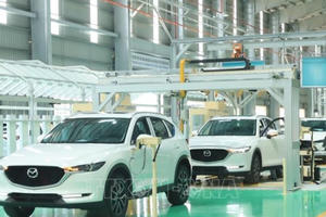 Chính phủ ban hành Nghị định mới về lệ phí trước bạ