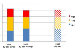 Năm 2017 dự báo khả quan với các nước xuất khẩu gạo Năm 2017 dự báo khả quan với các nước xuất khẩu gạo