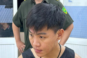 Đang vận chuyển 15,8 kg ma túy tổng hợp thì bị bắt